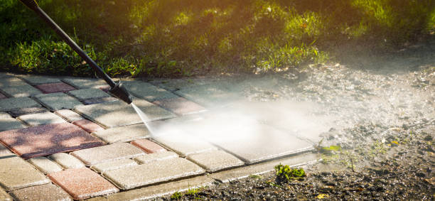 Best Solar Panel Cleaning  in Newtown, PA